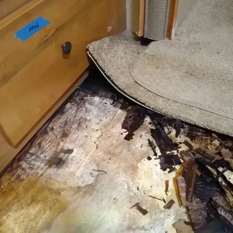 Wood Floor Water Damage in Lake Forest, CA